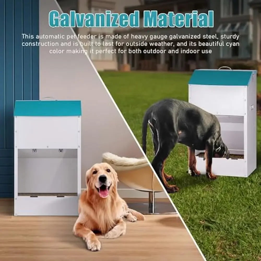 Large Capacity Auto Dog Feeder Steel Gravity Dispenser Durable Galvanized Breed 50lb Pounds