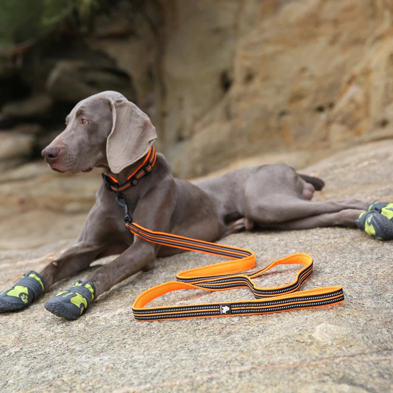 Winhyepet Dog Leash with Padded Handle Training Durable 200cm Luxury Pet Leash for Small Medium Large Dogs accessories