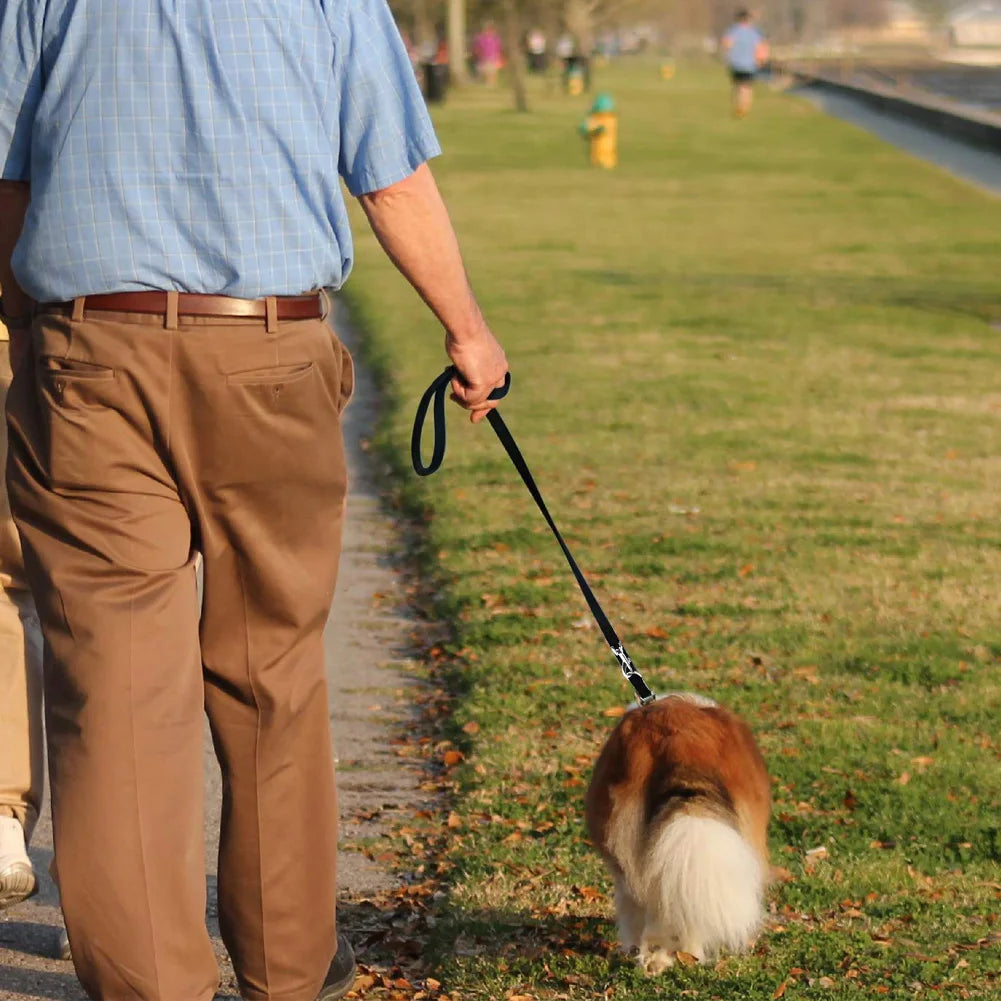 Adjustable Dog Leash for Halti Training, Lead Belt, Hand-Free, Double Ended Police Style for Puppy Walking and Running, 2M, 6ft