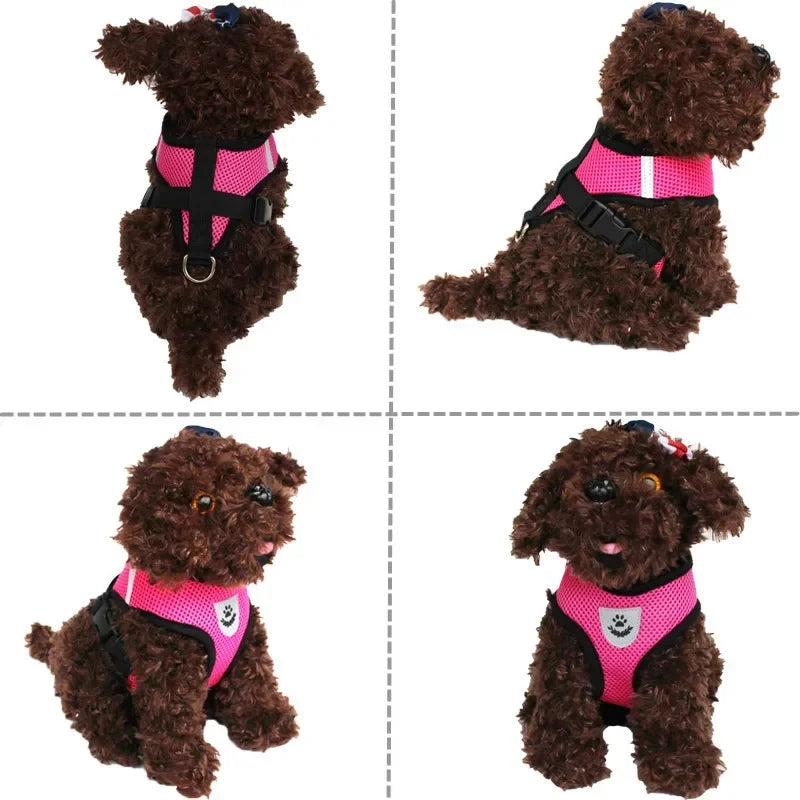 Cat Dog Adjustable Harness Vest Walking Lead Leash For Puppy - Loving Babies & Pets Shop