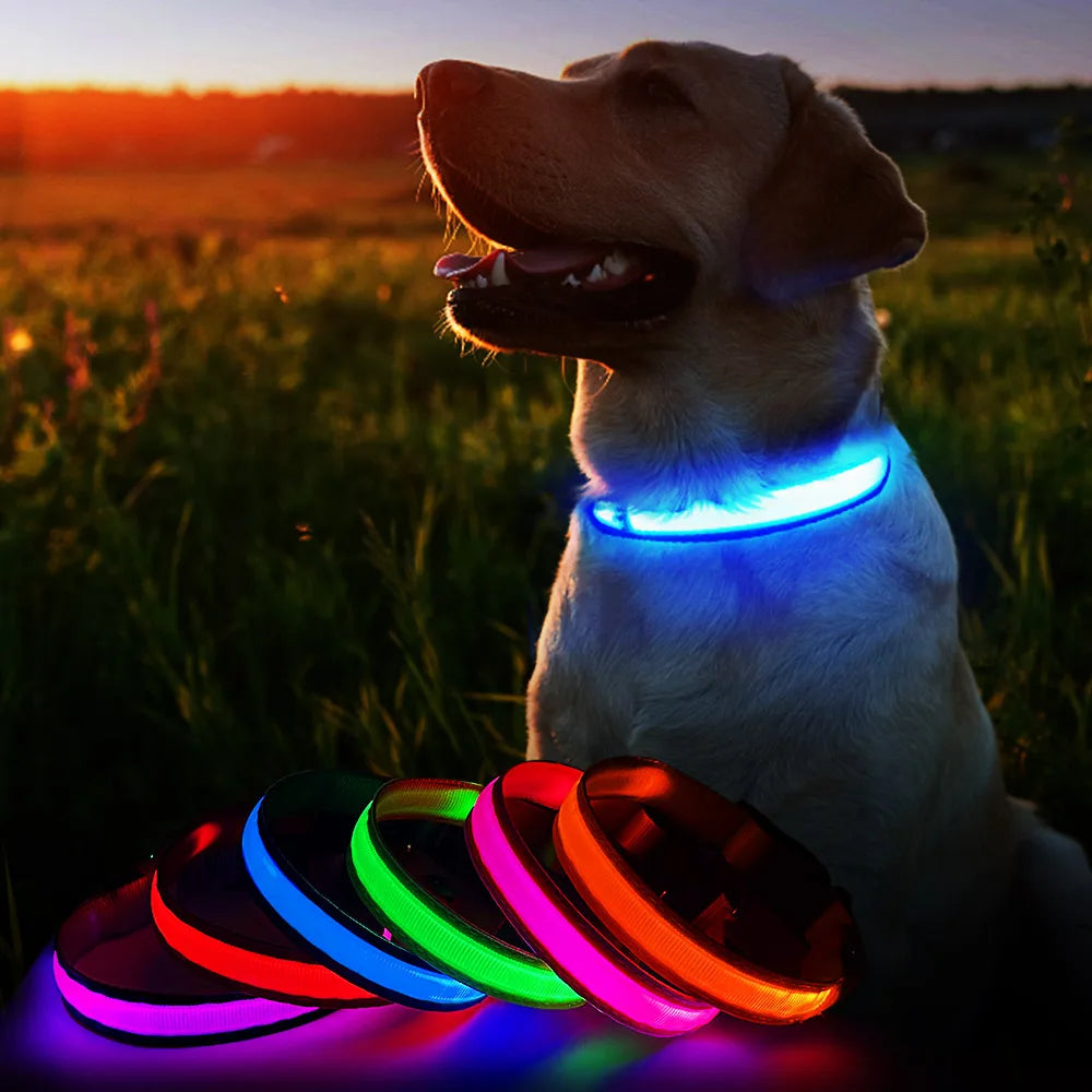 MASBRILL Luminous Waterproof Dog Collar for Small to Large Breeds with Reflective Lights