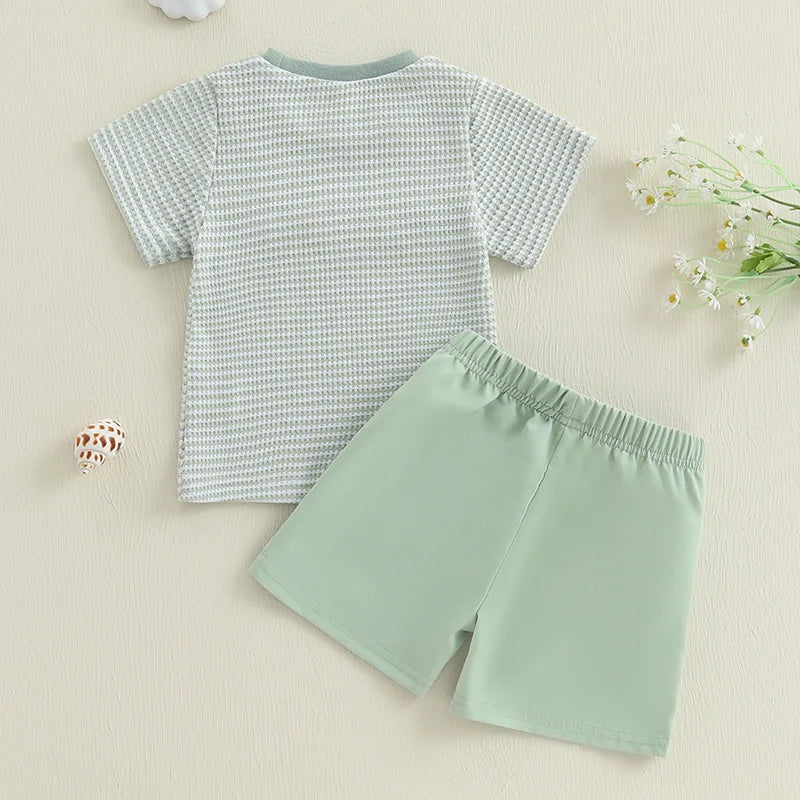 Infant Boy Animal Embroidery Tee and Stylish Plaid Shorts Summer Outfit Set