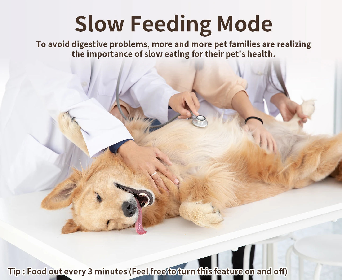 PAPIFEED Smart Automatic Cat Feeders WiFi Pet Feeder with APP Control for Remote Feeding Detachable for Easy Clean Cat Food - Loving Babies & Pets Shop