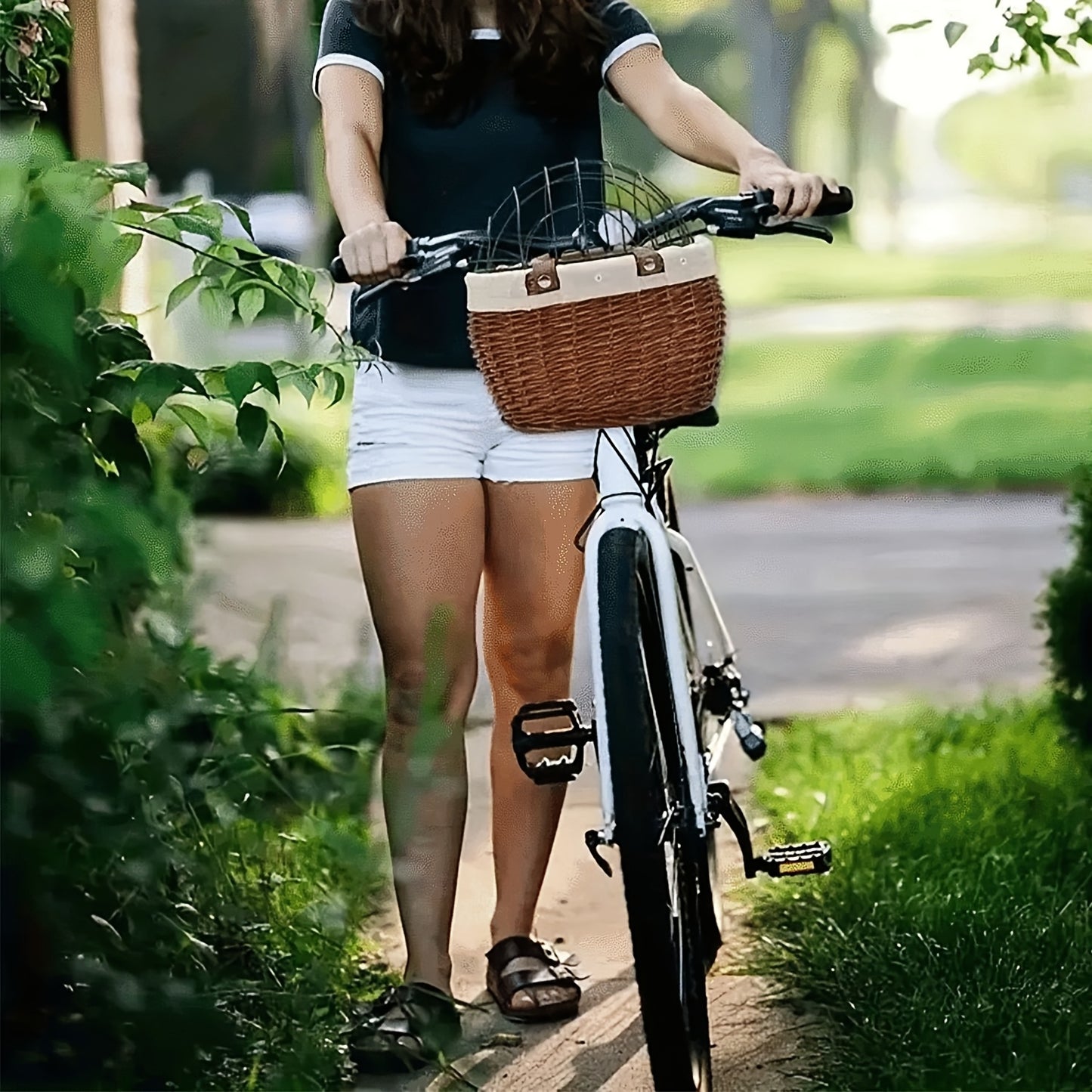 Wrought Iron And Wicker Pet Bike Basket With Lid Front