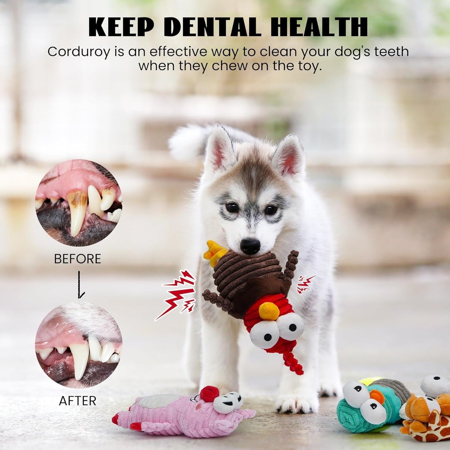 Nocciola 5 Piece Dog Squeaky Toy Set Funny Animal Sounds Interactive Gift for All Breeds