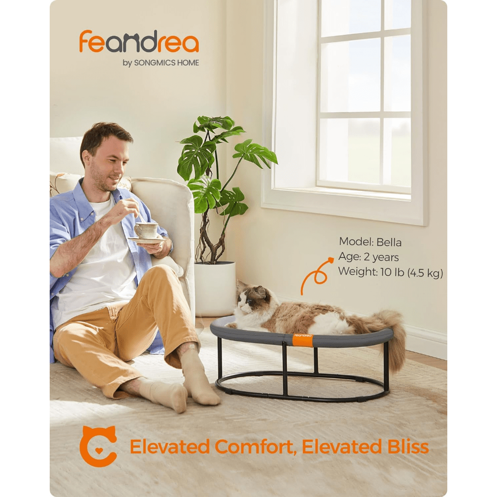 Elevated Pet Bed for Large Cats and Small Dogs with Removable Washable Mesh Oval Design