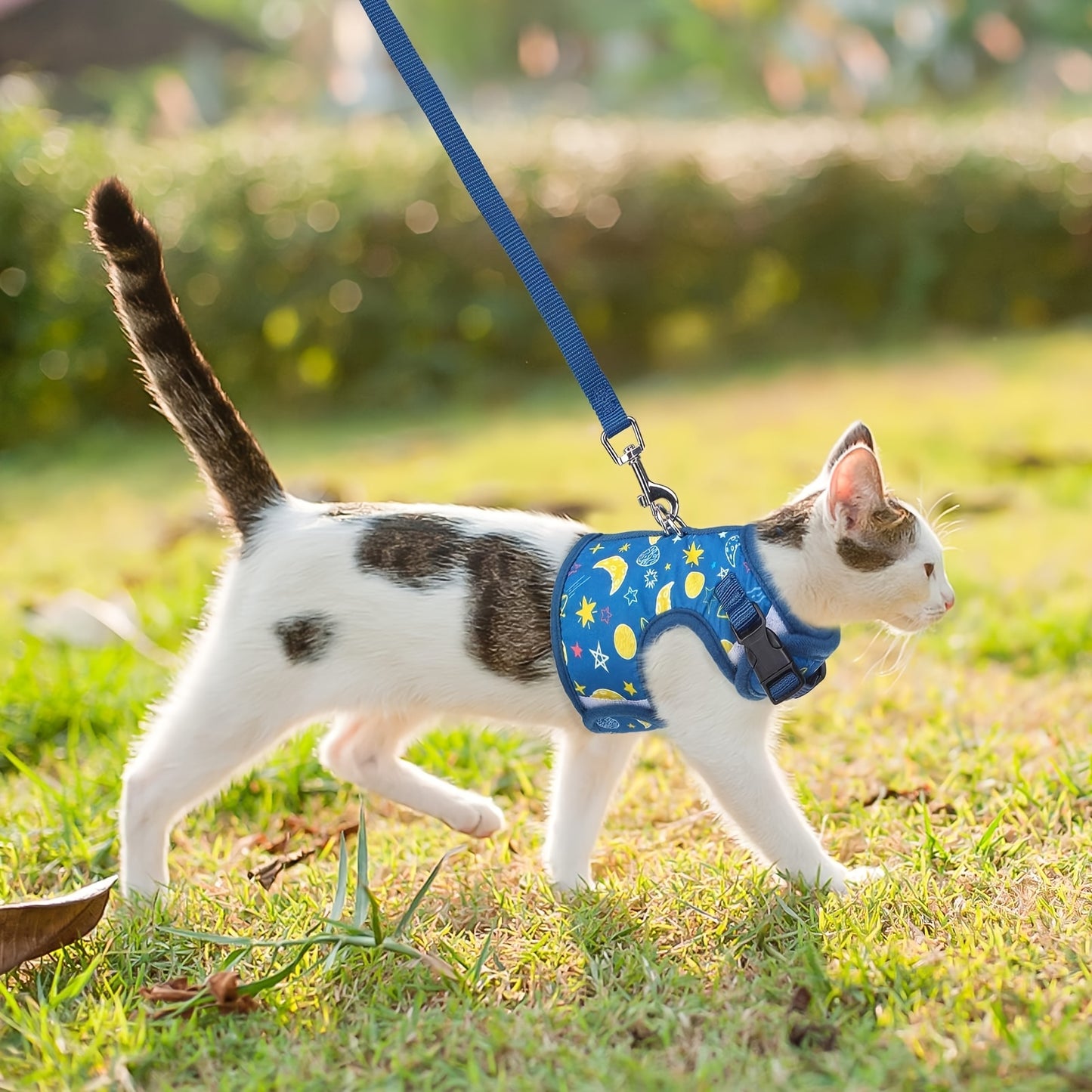 Cat Harness With Leash Escape Proof - Fashionable Mesh Cat Dog Walking Harness Leads, Adjustable For Kitties Puppies Small Animals, for Galaxy