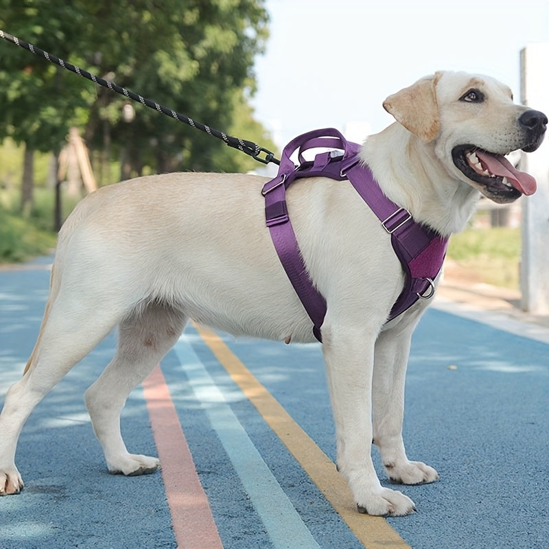 Outdoor Tactical Dog Harness Vest and Leash for Medium Large Dogs Nylon Training Gear