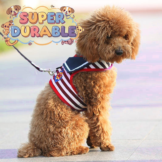 Cute Adjustable Dog Harness Vest Set for Small Dogs Red and Blue No Pull Reflective Design