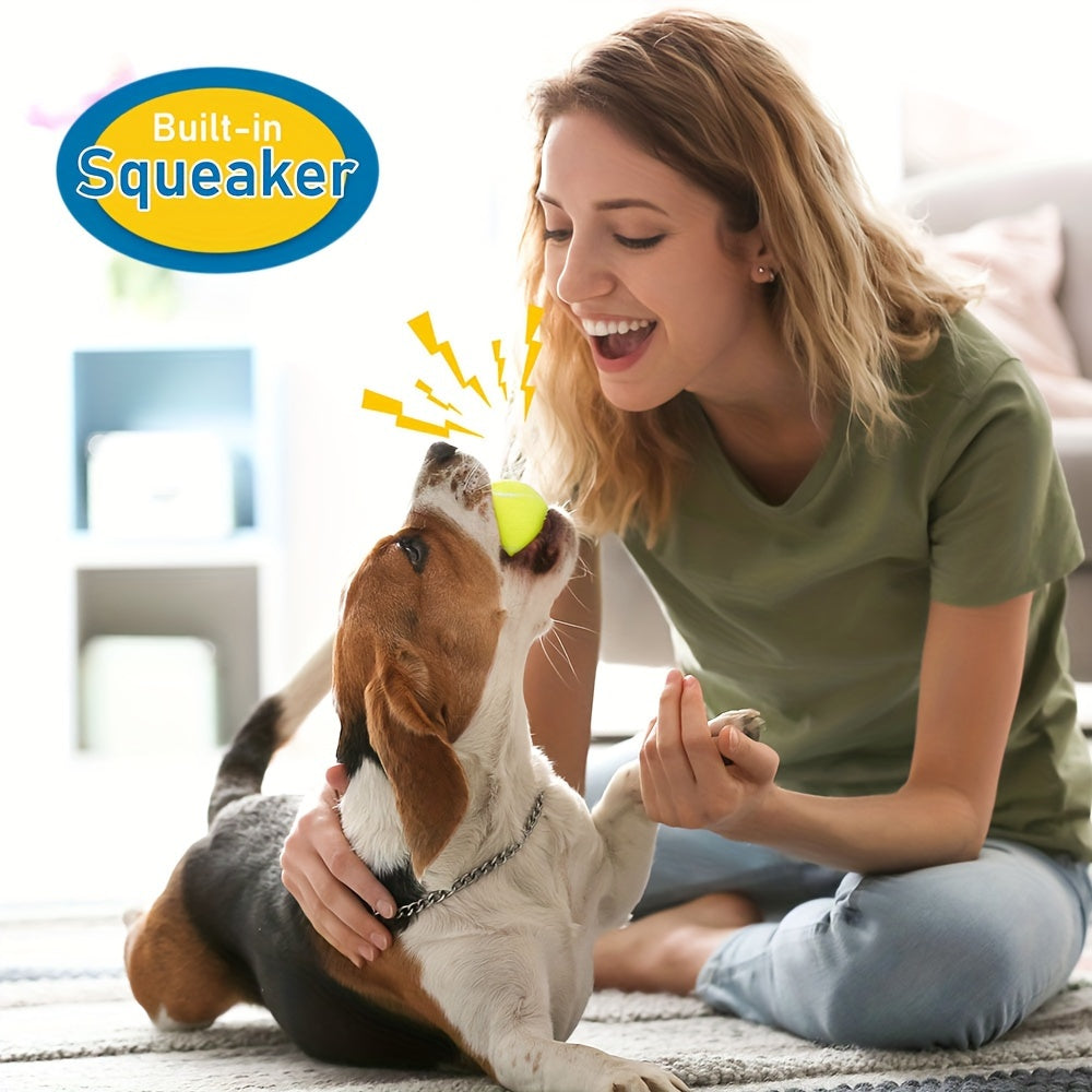 Squeaky Tennis Balls For Dogs 2.5 Inch 12 Pack Interactive Fetch Toy For Medium And Large Dogs