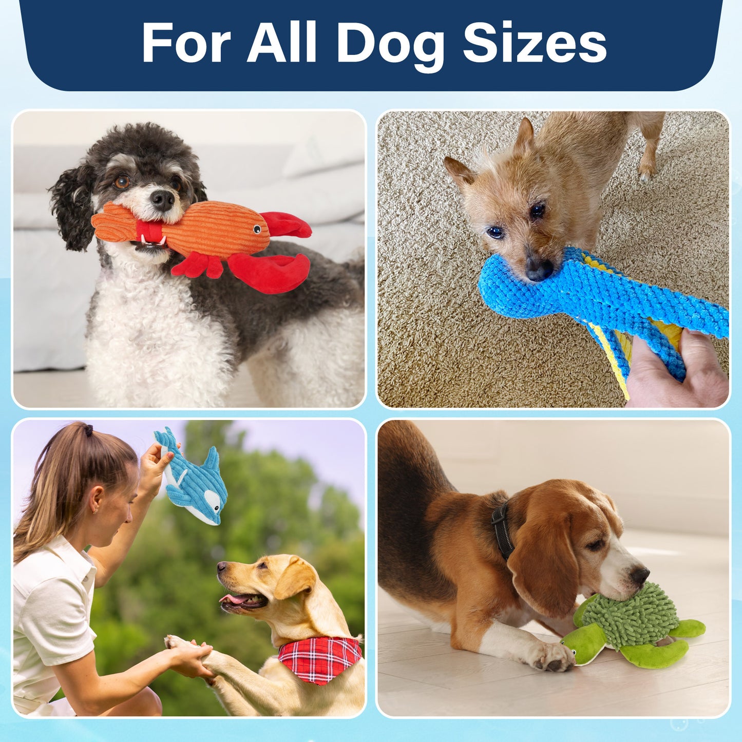 5 Pack Plush Squeaky Crinkle Chew Toys for Small and Medium Dogs Playtime Fun