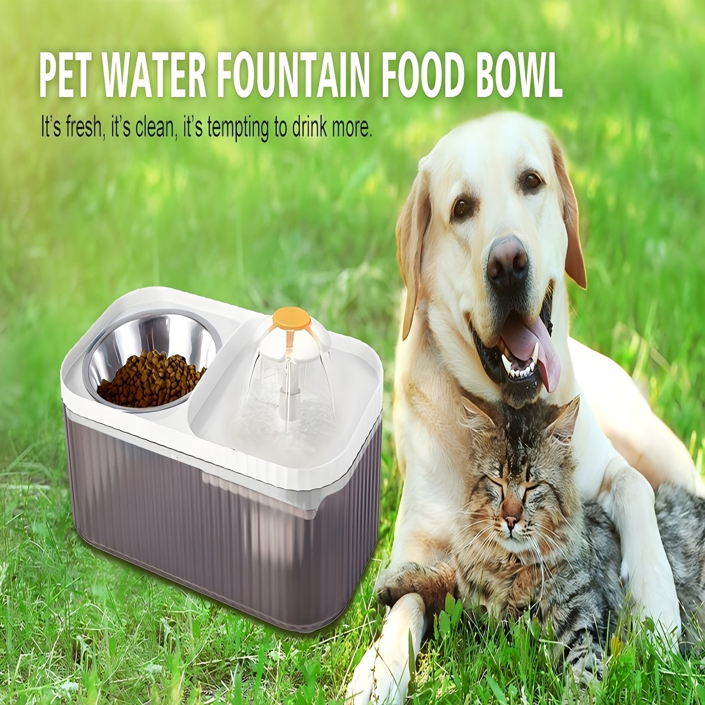 Automatic Pet Feeder And Water Dispenser For Cats And Small Dogs Stainless Steel Design