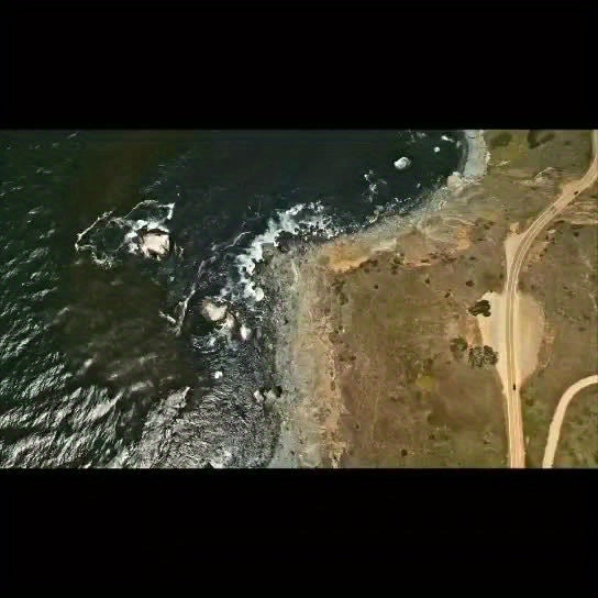 YSIATN Collapsible Folding Wagon Cart - 350LBS Capacity, 50L Large Capacity, 4 All-Terrain Wheels, 360° Rotating Front Wheels, 600D Oxford Fabric, Compact Fold & Portable for Beach, Camping, Shopping, Pet Stroller, Large Fol