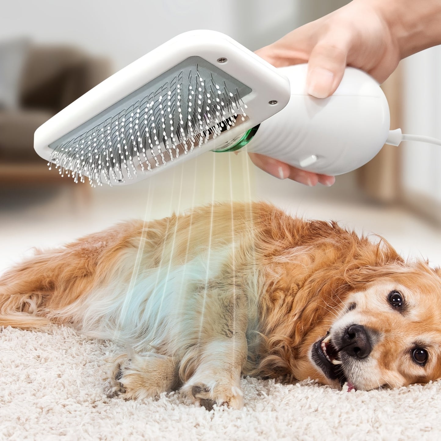 LIVEKEY 2-in-1 Pet Grooming Dryer and Slicker Brush for Dogs and Cats with Adjustable Heat