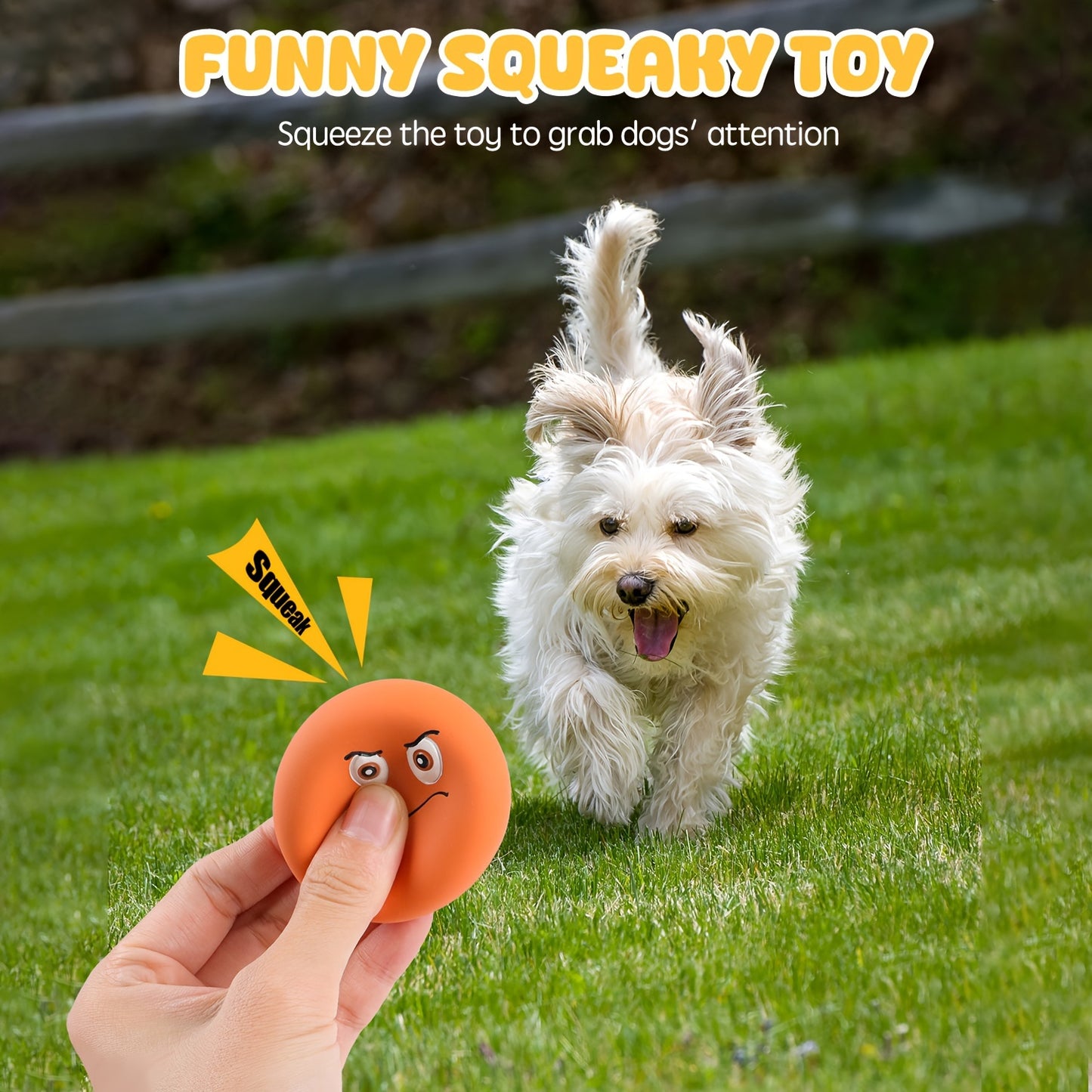 SCHITEC Interactive Squeaky Dog Toys 6 Pack Vibrant Latex Rubber Balls for Small Dogs