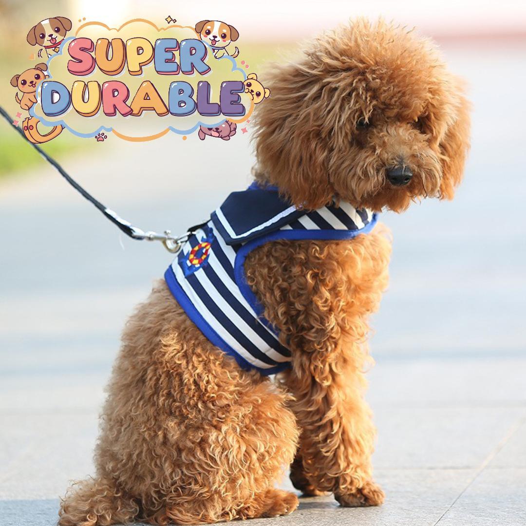 Cute Adjustable Dog Harness Vest Set for Small Dogs Red and Blue No Pull Reflective Design