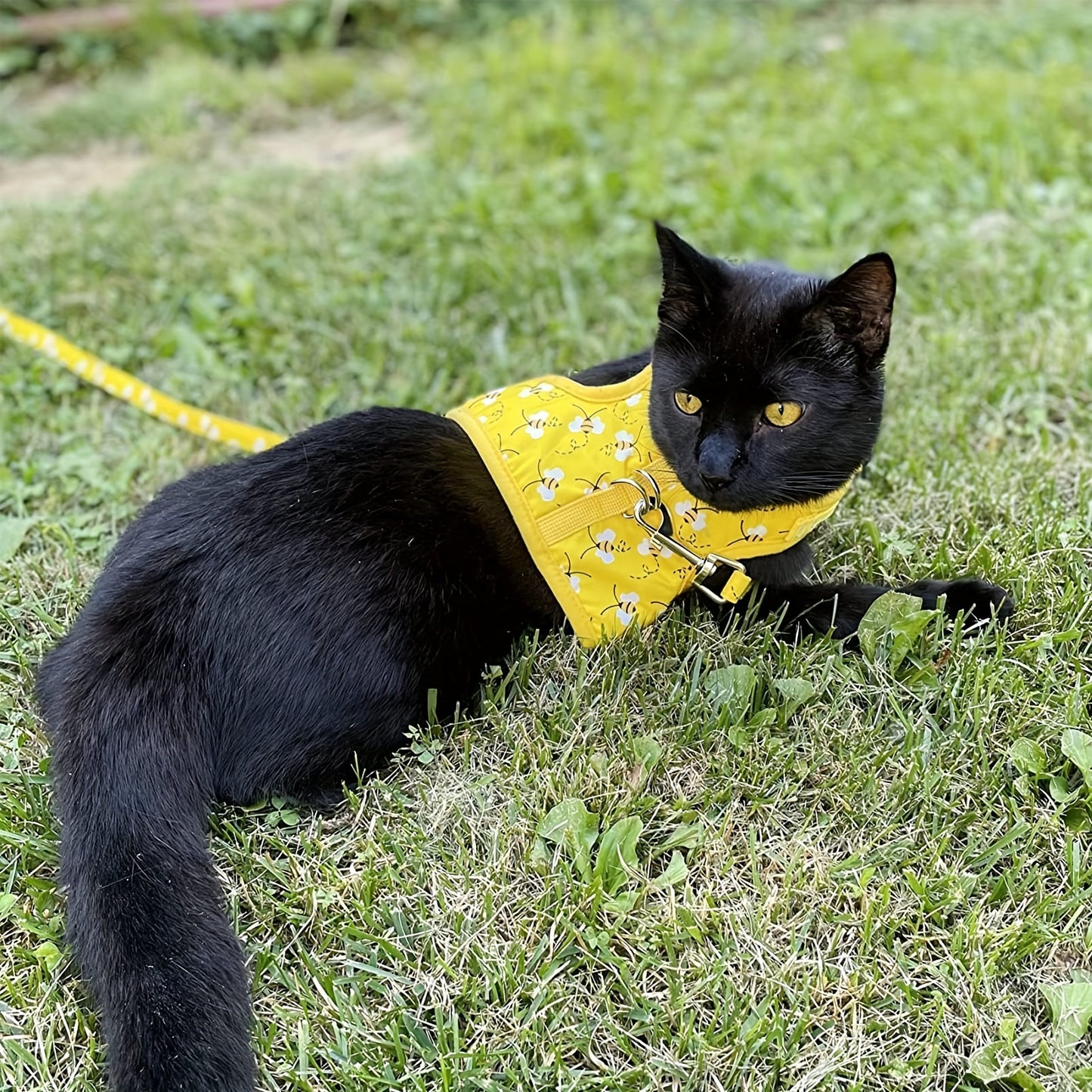 Escape Proof Cat Harness With Leash And Collar Adjustable Soft Vest For Medium Large Cats