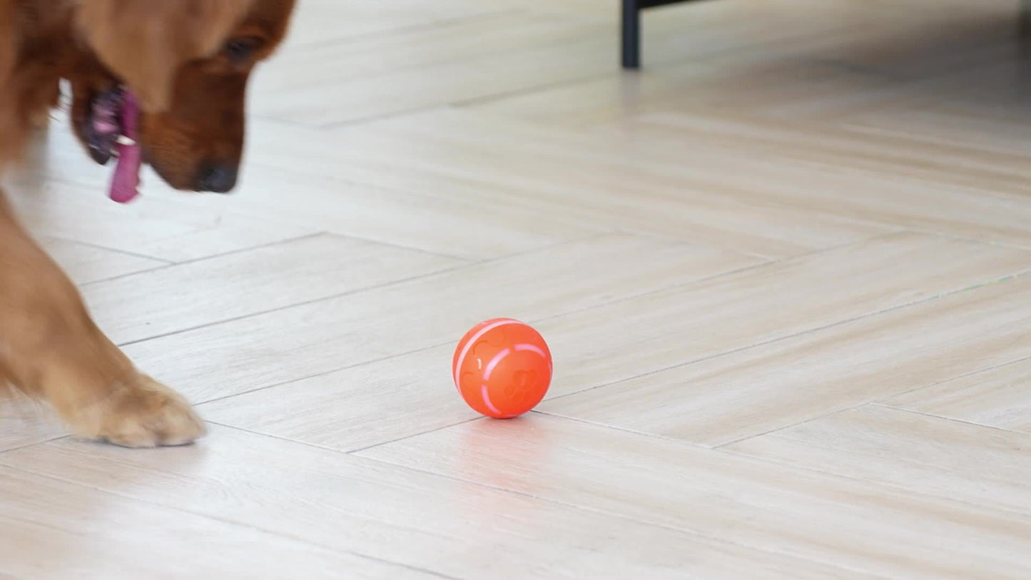 Intelligent Pet Dog Bouncing Ball with Colorful Lights for Medium to Large Dogs