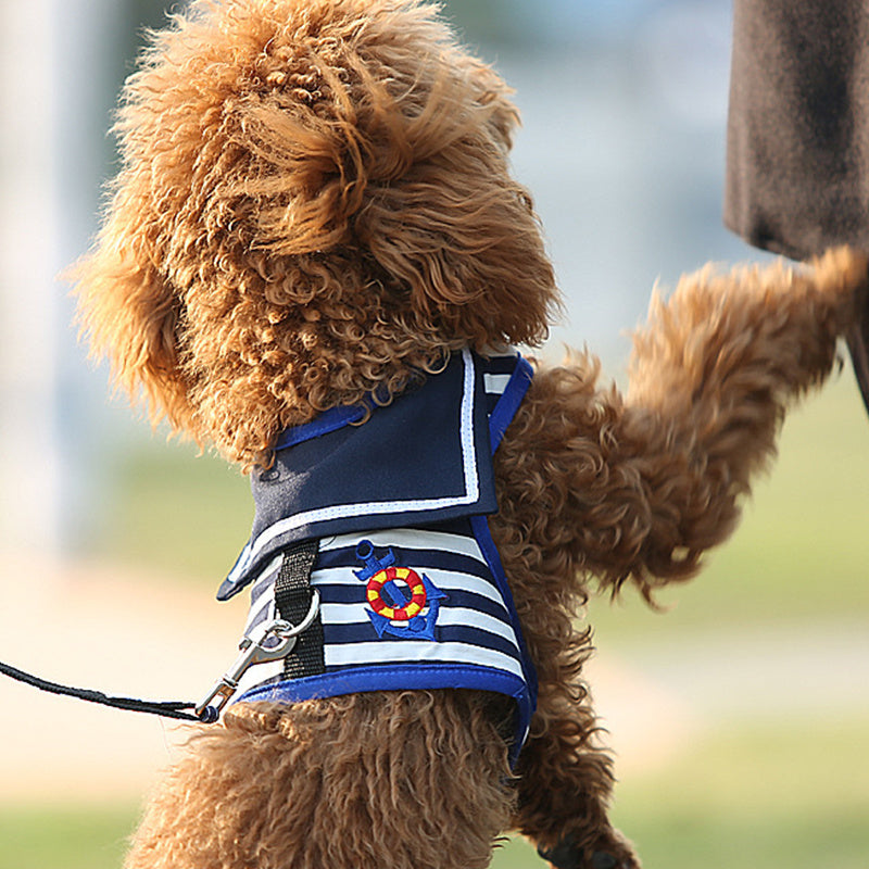 Cute Adjustable Dog Harness Vest Set for Small Dogs Red and Blue No Pull Reflective Design