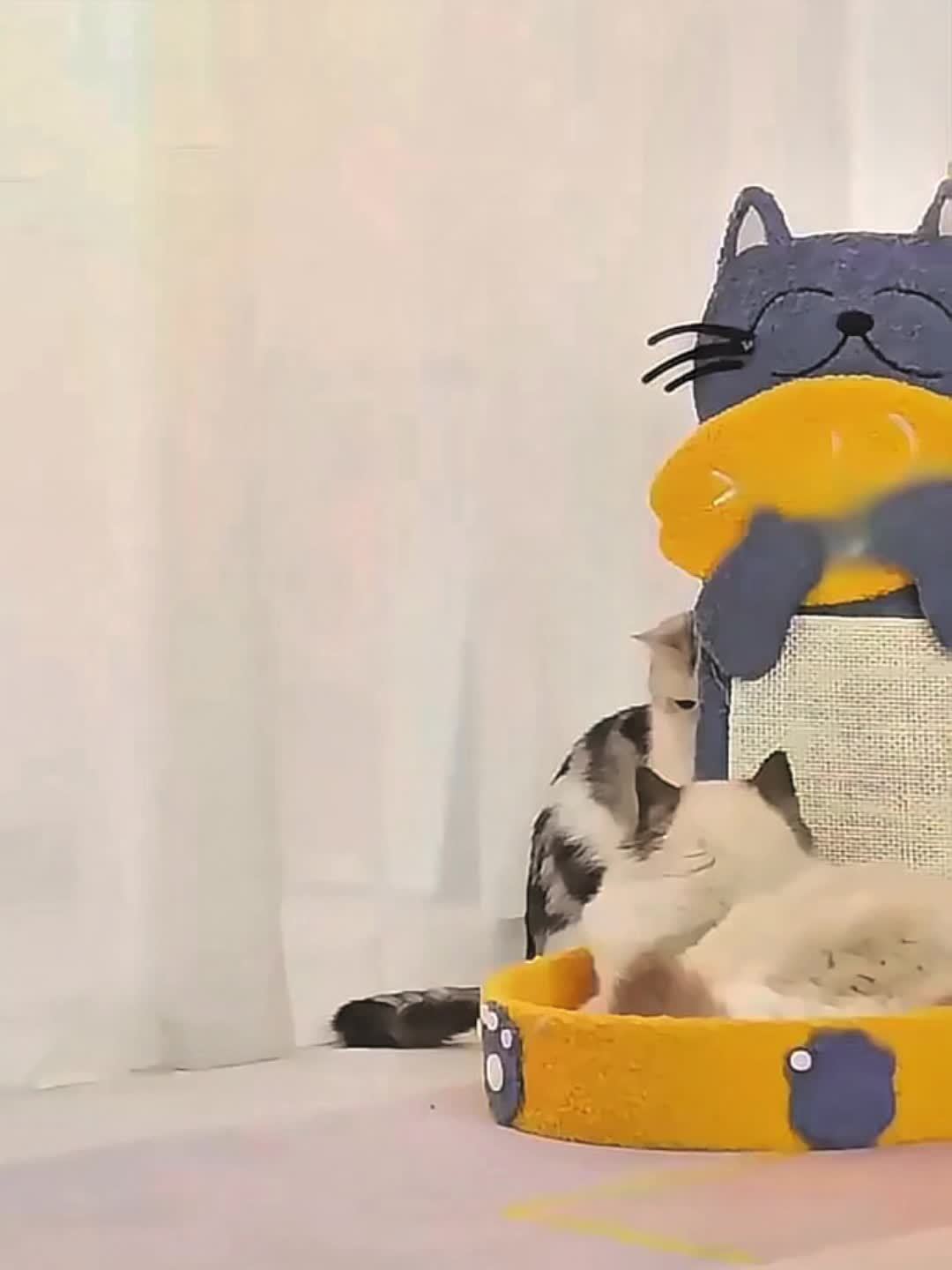 Sisal Cat Scratch Board Nest Integrated Toy Scratch Resistant Debris Free Cat Supplies