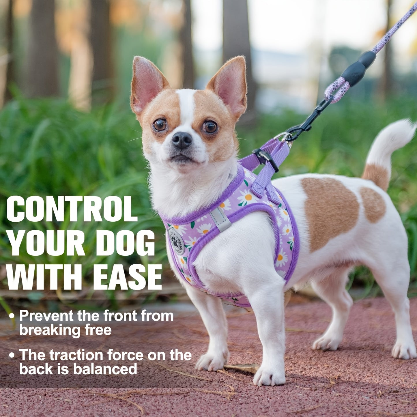 Floral Pattern Reflective Dog Harness and Leash Set for All Breeds with Soft Padded Vest