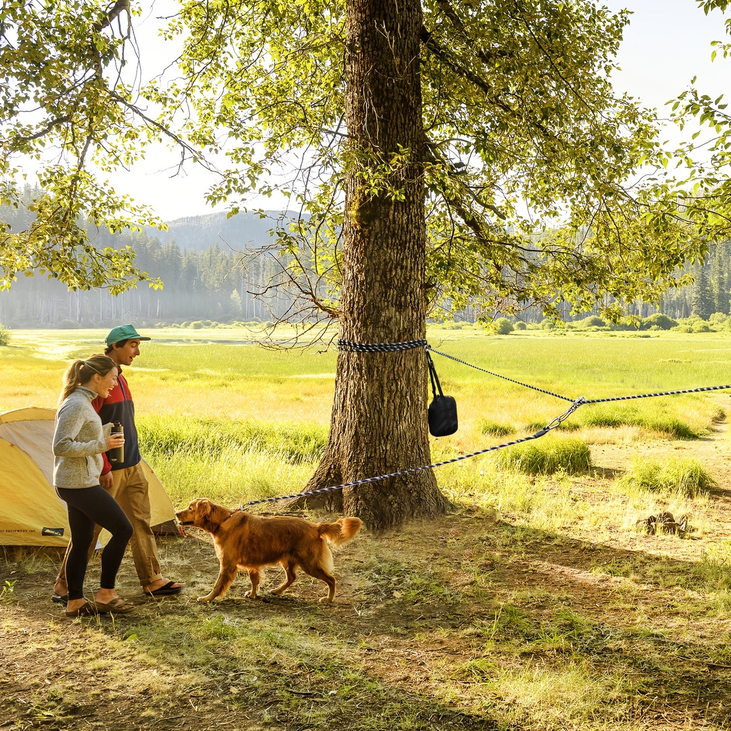 [75ft Portable Dog Tie Out] 75ft Portable Dog Tie Out Cable | Overhead Trolley System With 10ft Runner Lead For Dogs Up To 200lbs | Reflective Dog Lead For Yard, Park, Or Outdoor Adventures