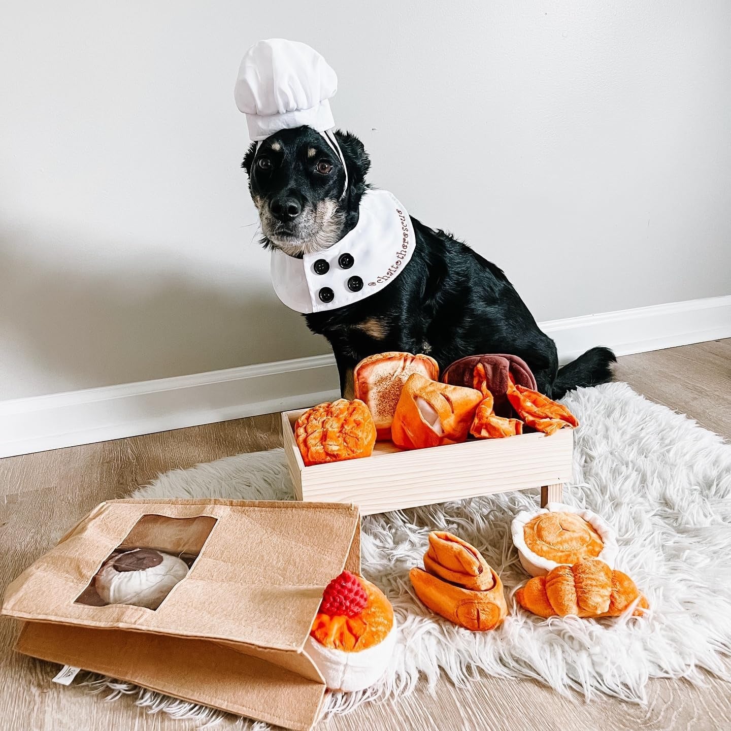 Nocciola 10 Piece Plush Bread Dog Toys Set with Crinkle Squeakers for Small Dogs