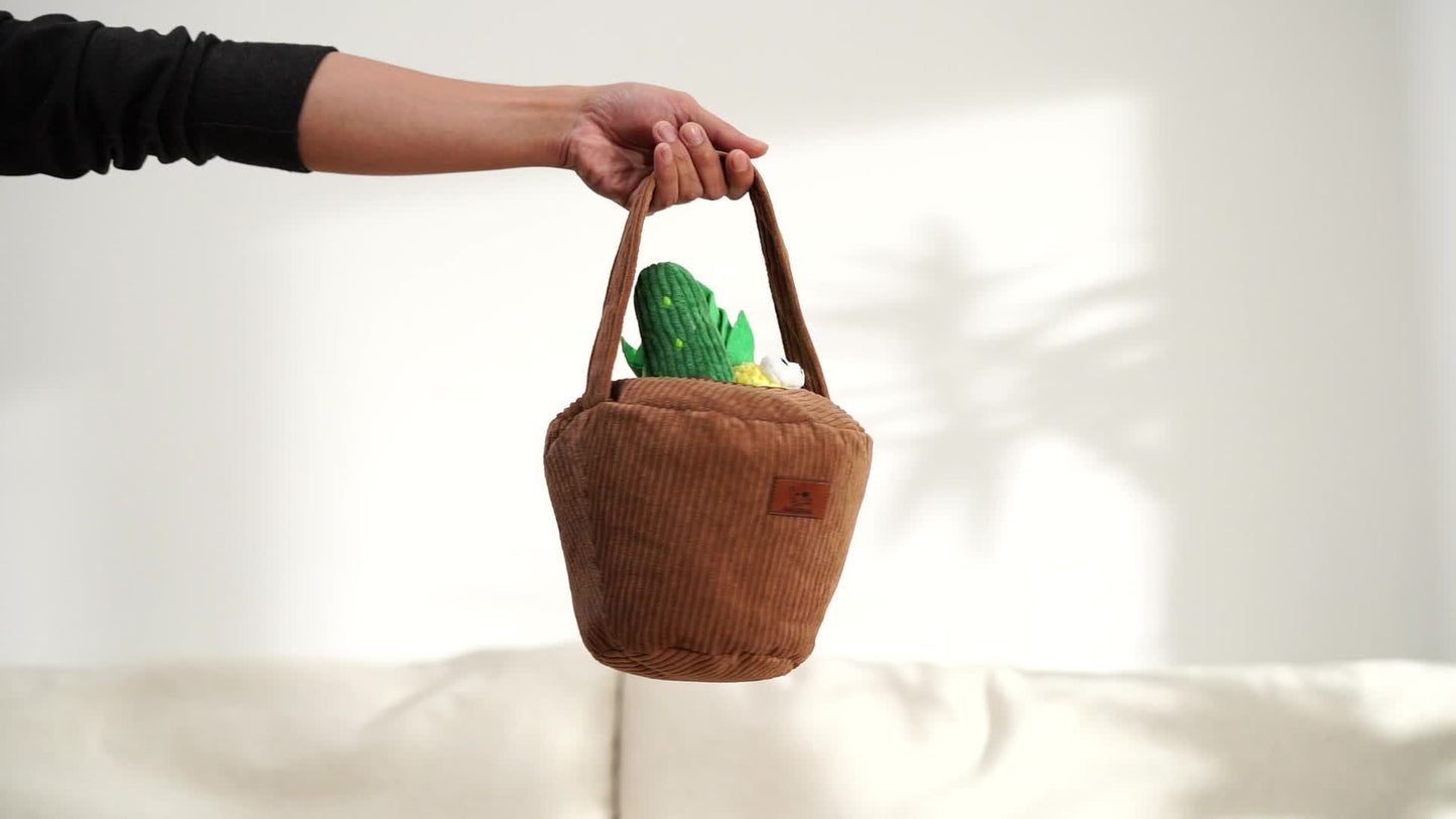 Nocciola 15 Pack Crinkle Dog Squeaky Toys for Small Medium Dogs and Puppies