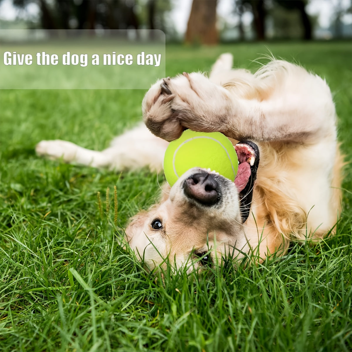 90 Pack Training Tennis Balls for Practice and Pet Play Ideal for Beginners and Dogs