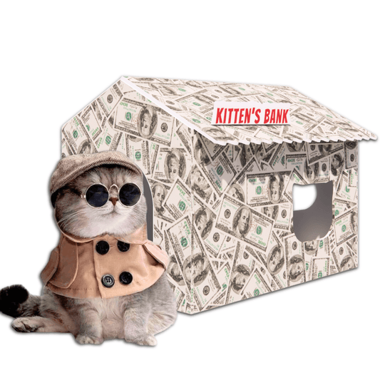 Cardboard Cat House with Scratch Pad Premium Quality Indoor Playhouse for Cats