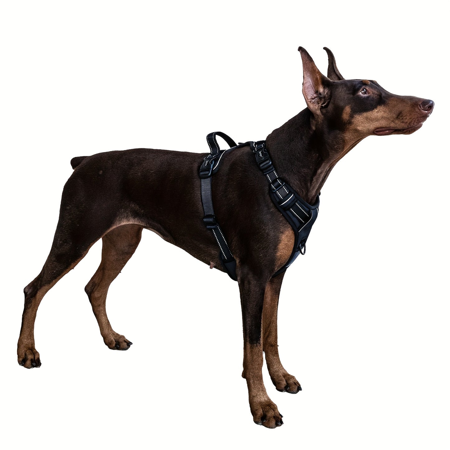 Handle-Free Dog Harness for Easy Walking Breathable Reflective Step-In Design Size L Gray