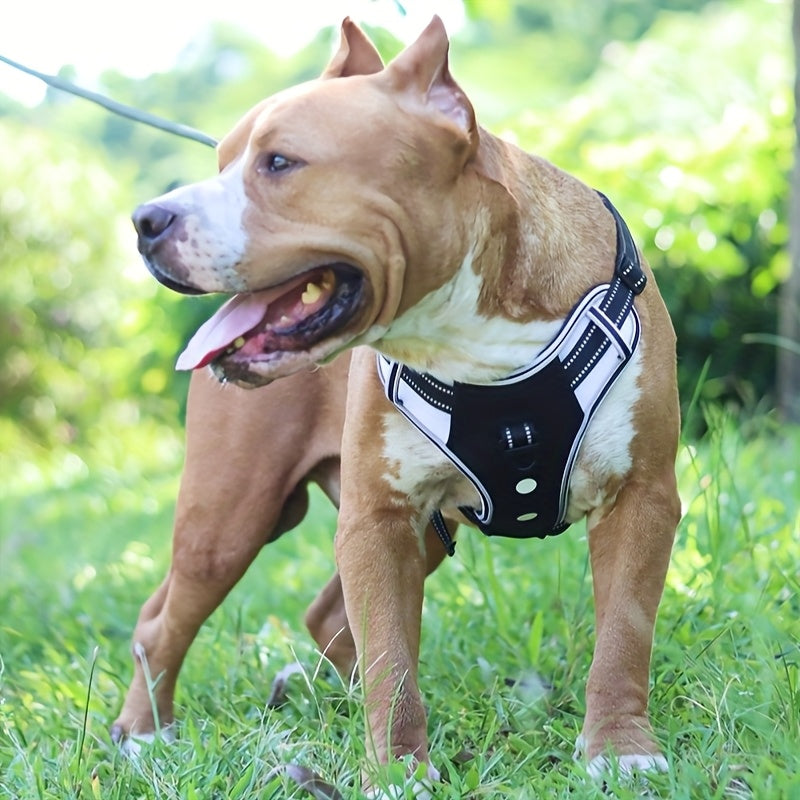 Dog Harness For Large Dogs No Pull, Without Battery
